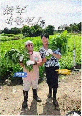 密闭空间悬疑向作品推荐封面